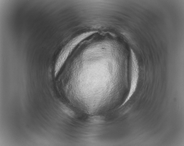 X0000068720269200605121500