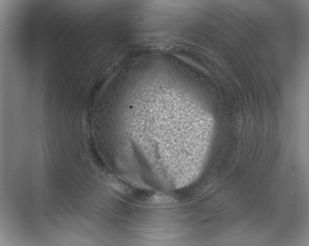 X0000068720270200605121500