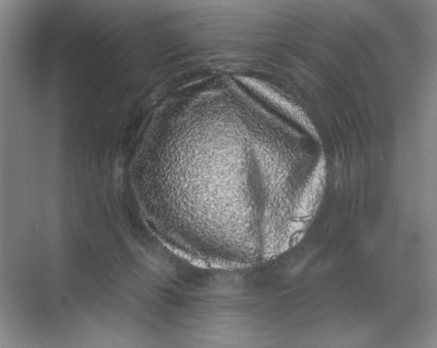 X0000068720271200605121500