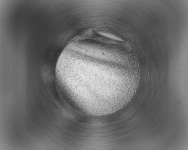 X0000068720272200605121500