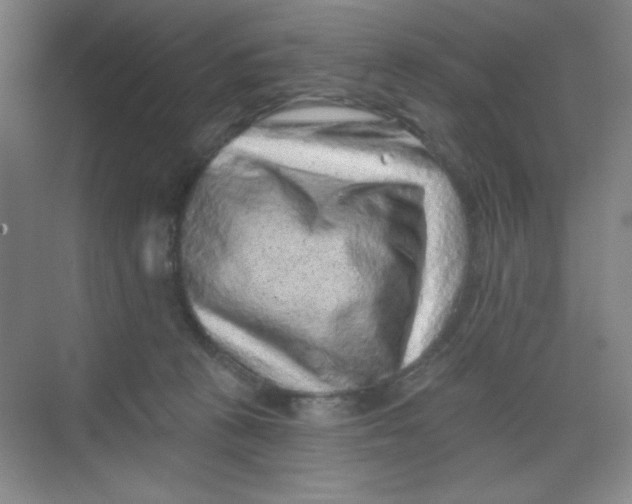 X0000068720273200605121500