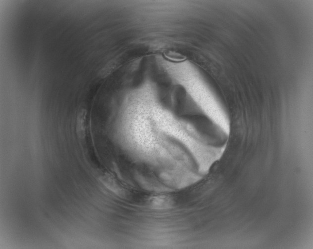 X0000068720275200605121500