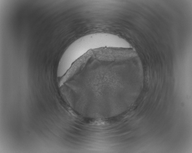 X0000068720276200605121500