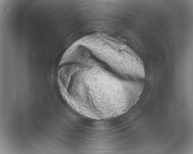 X0000068720277200605121500