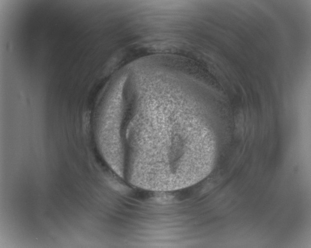 X0000068720278200605121500