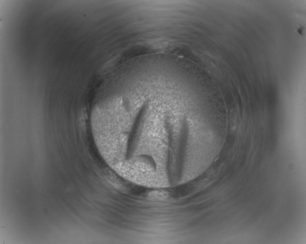 X0000068720279200605121500