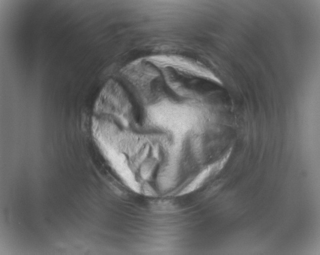 X0000068720281200605121500