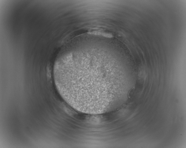 X0000068720282200605121500