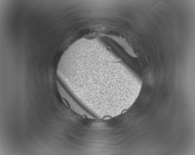 X0000068720283200605121500