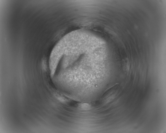 X0000068720287200605121500