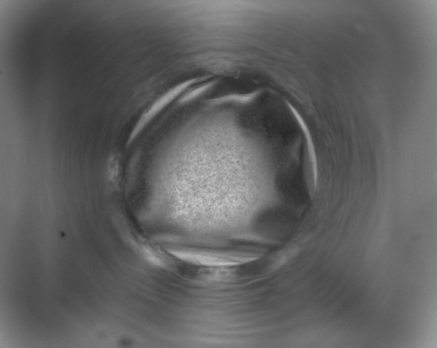 X0000068720288200605121500