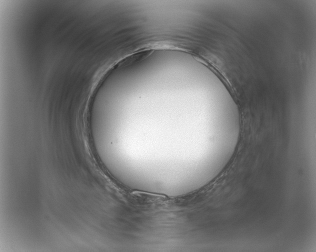 X0000068720289200605121459