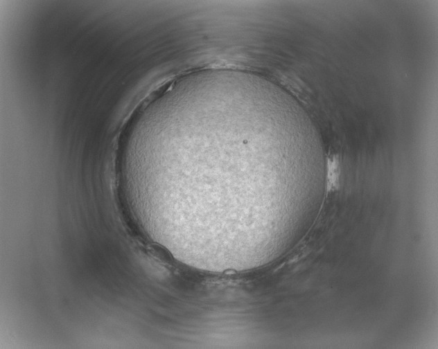 X0000068720291200605121459