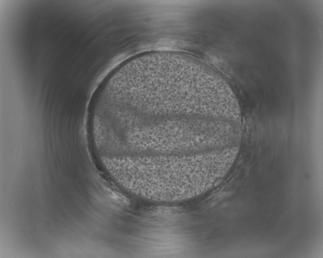 X0000068720292200605121459