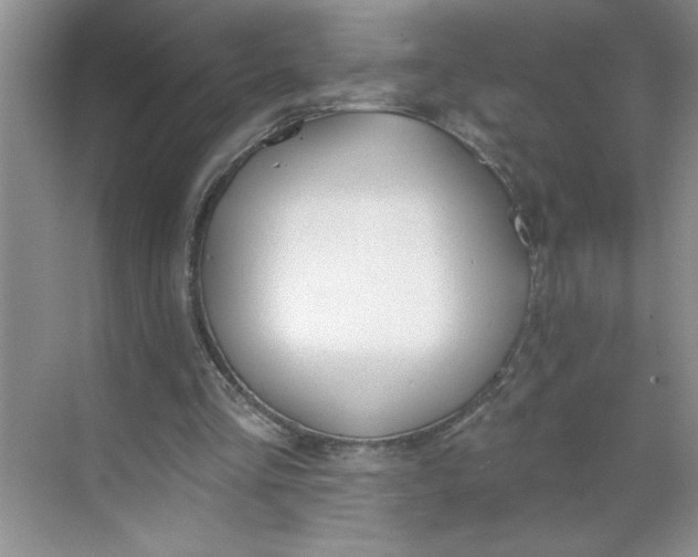 X0000068720293200605121459