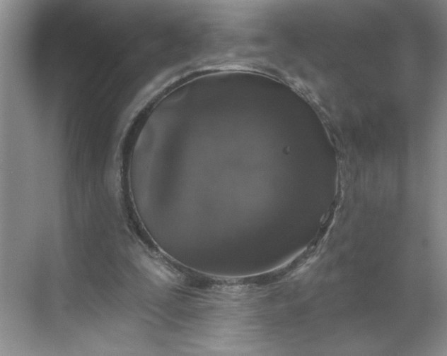 X0000068720295200605121459