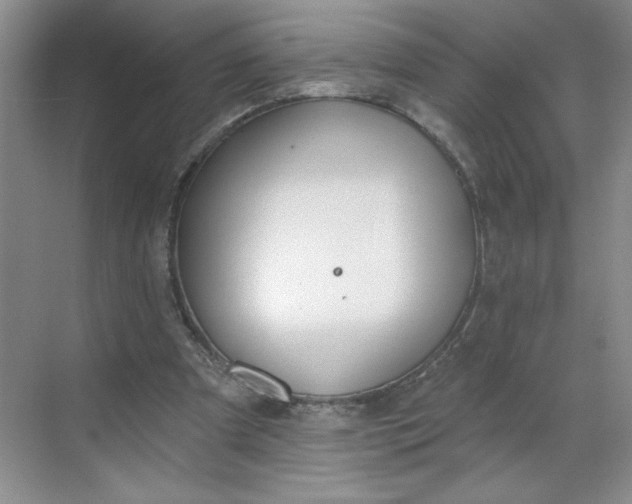 X0000068720297200605121459