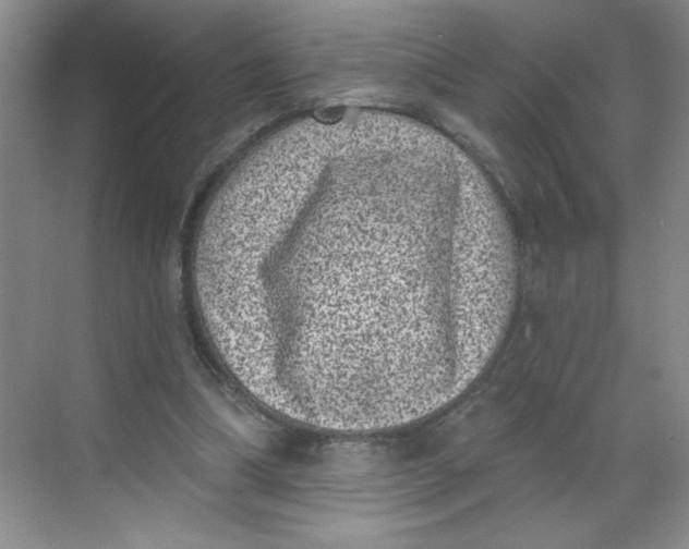 X0000068720298200605121459