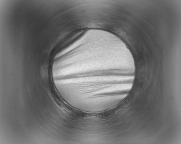 X0000068720299200605121459