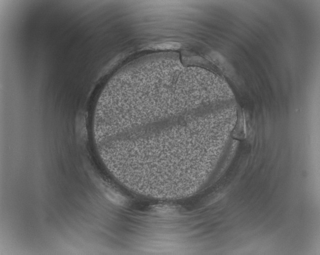 X0000068720300200605121459