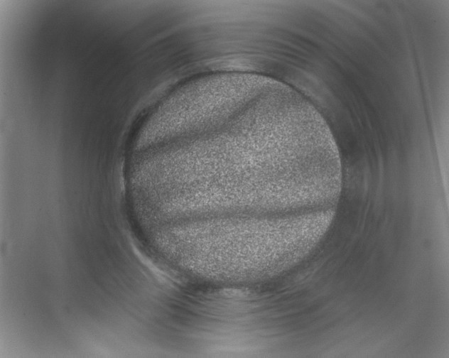 X0000068720302200605121459