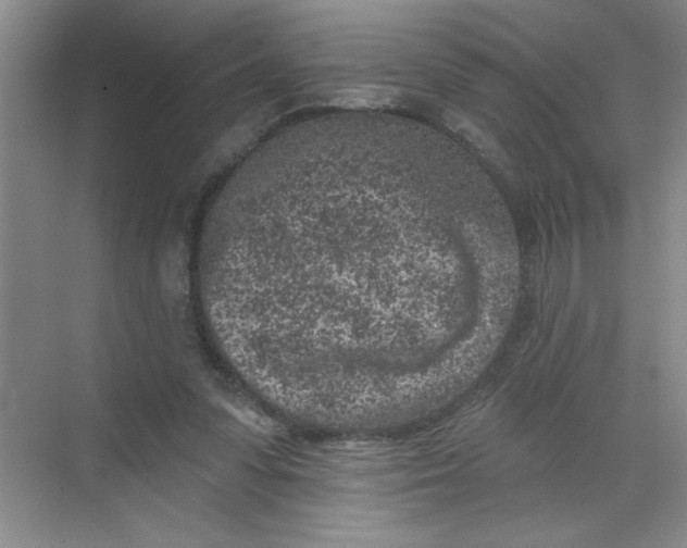 X0000068720303200605121459