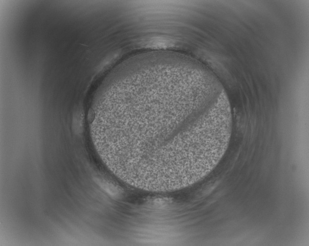 X0000068720304200605121459