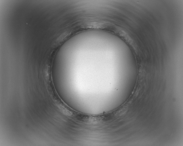 X0000068720305200605121459