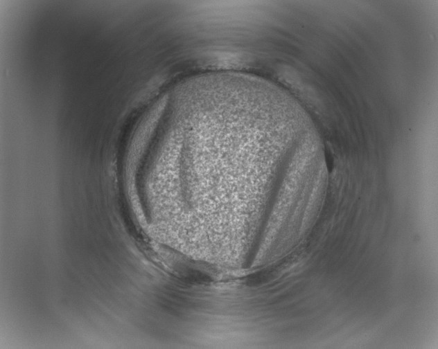 X0000068720306200605121459