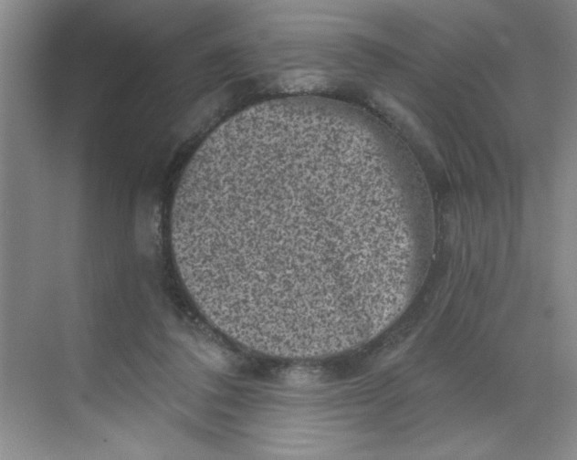 X0000068720308200605121459