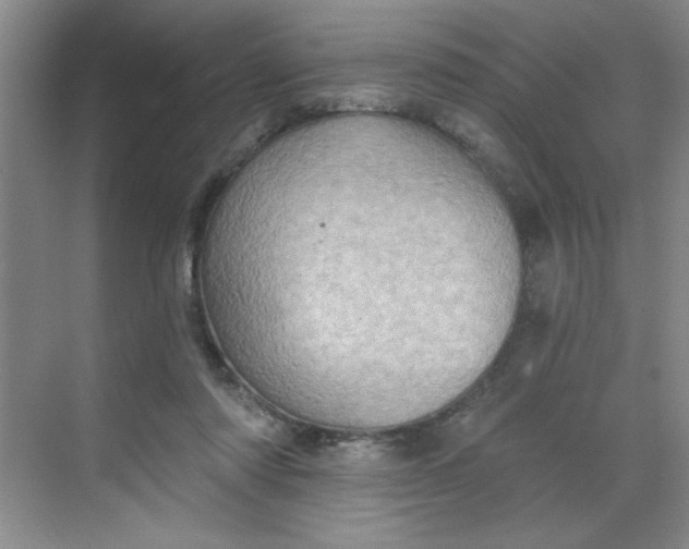 X0000068720310200605121459