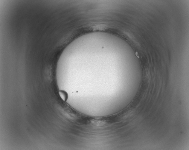 X0000068720311200605121459