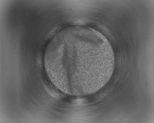 X0000068720312200605121459