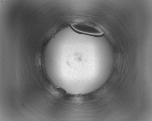 X0000068720313200605121459