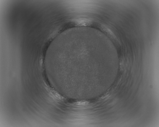 X0000068720314200605121459