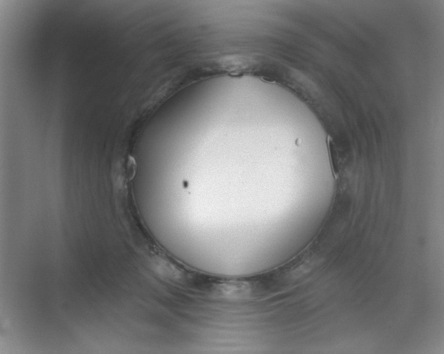 X0000068720317200605121459