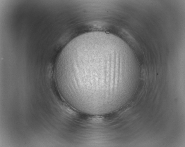 X0000068720318200605121459