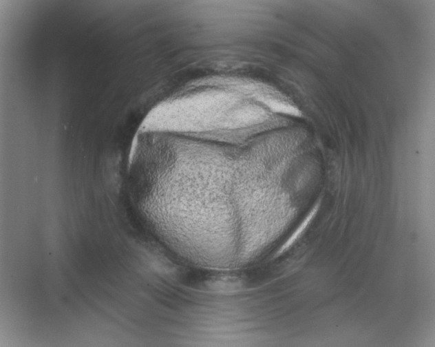 X0000068720319200605121459