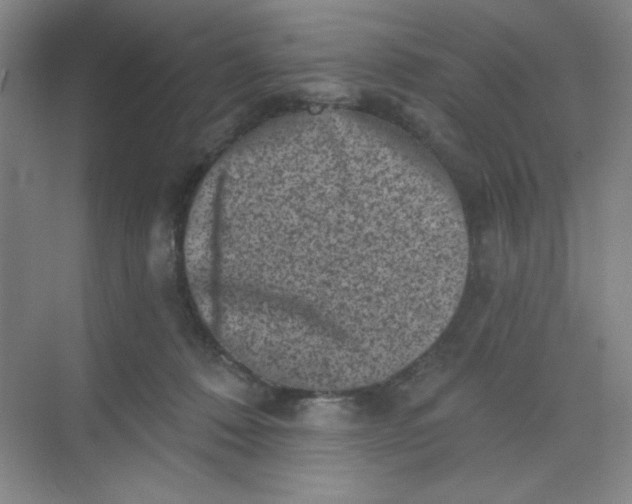 X0000068720320200605121459