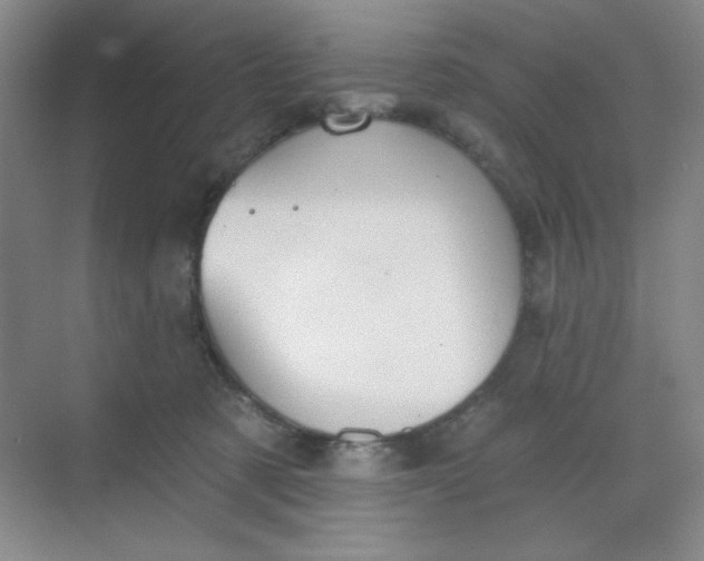 X0000068720321200605121459