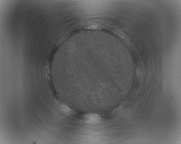 X0000068720322200605121459