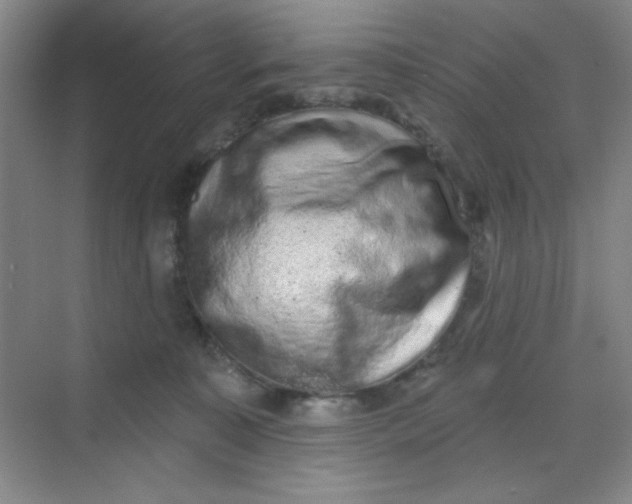 X0000068720323200605121459