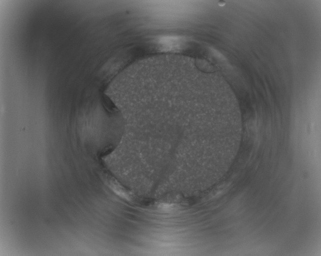 X0000068720325200605121459