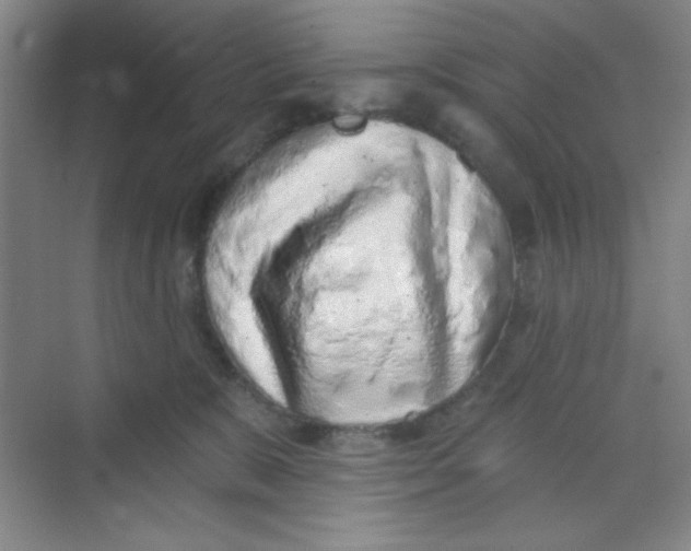 X0000068720327200605121459