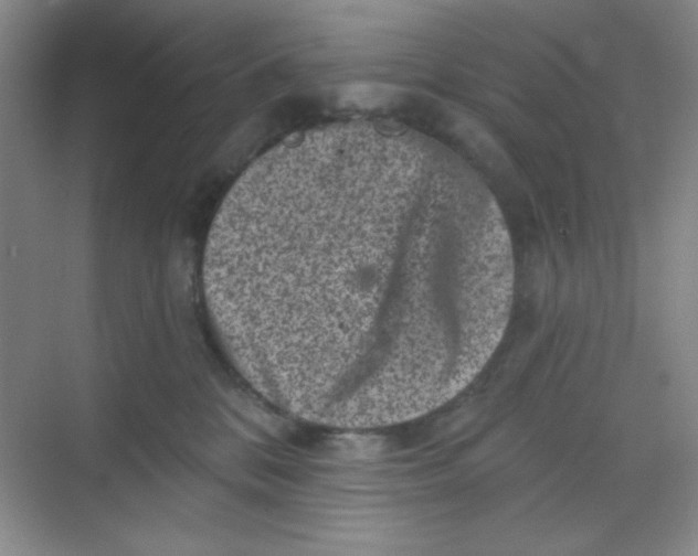 X0000068720328200605121459