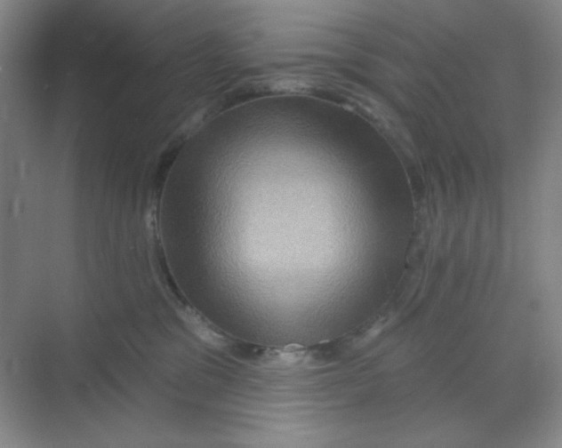 X0000068720329200605121459