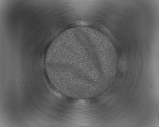 X0000068720330200605121458