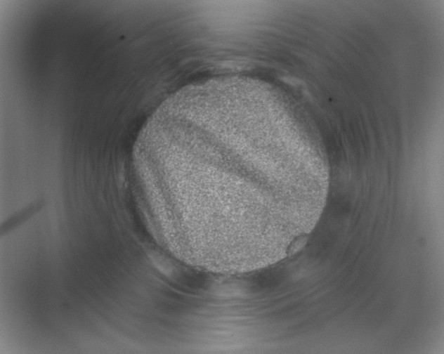 X0000068720331200605121458