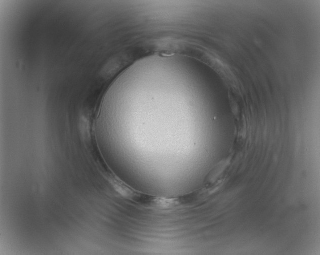 X0000068720333200605121458