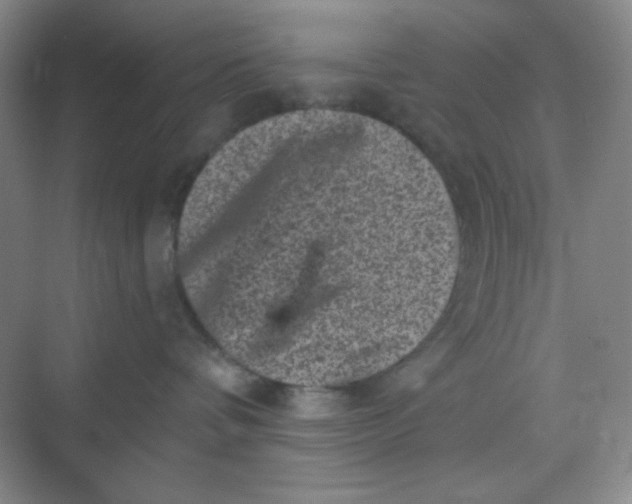 X0000068720336200605121458